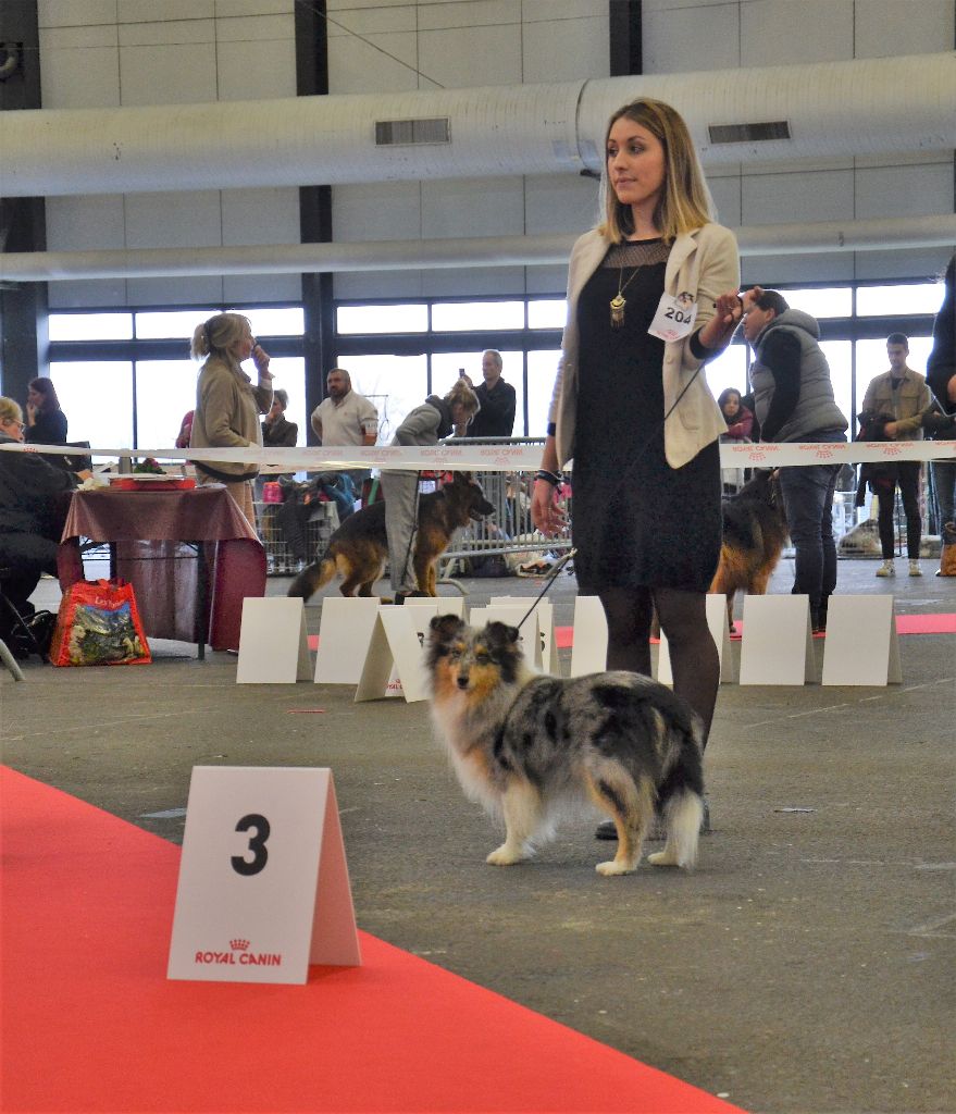 De L'Archipel De Vauban - Résultats Expo Bordeaux