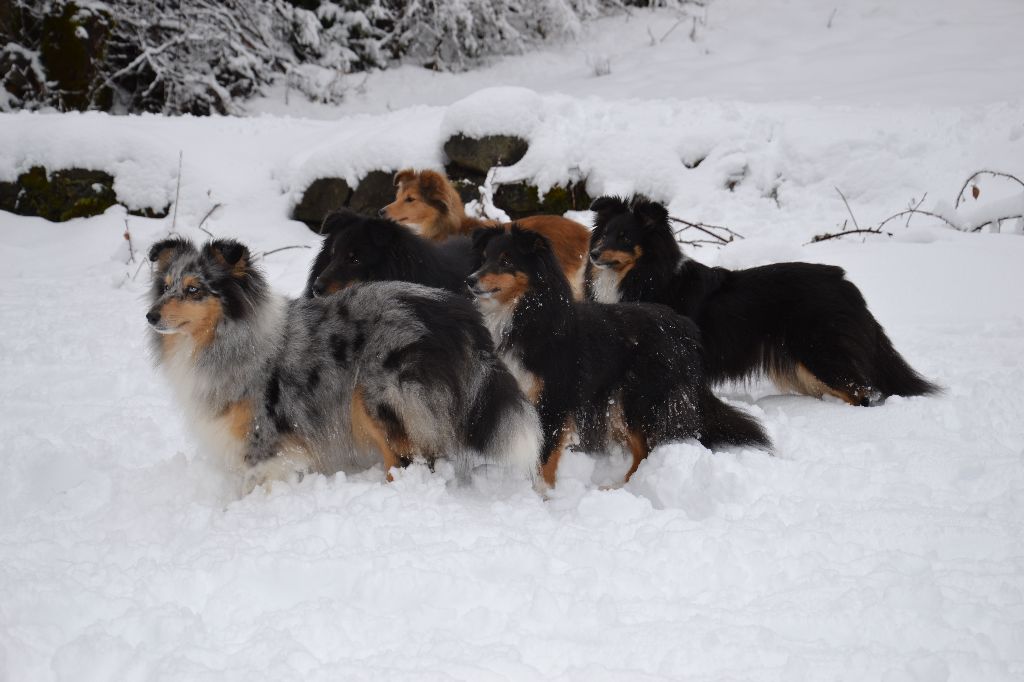 De L'Archipel De Vauban - Vive les vacances à la neige !