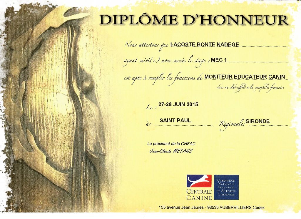 De L'Archipel De Vauban - Enfin reçu mon diplôme MEC1