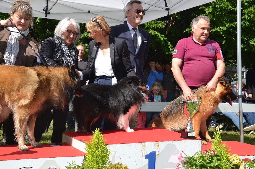 De L'Archipel De Vauban - exposition de libourne 2018