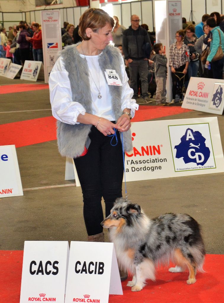 De L'Archipel De Vauban - Résultats Expo Périgueux