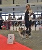  - Résultats Expo Bordeaux