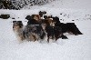  - Vive les vacances à la neige !