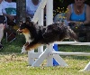  - Monitorat Agility réussit !