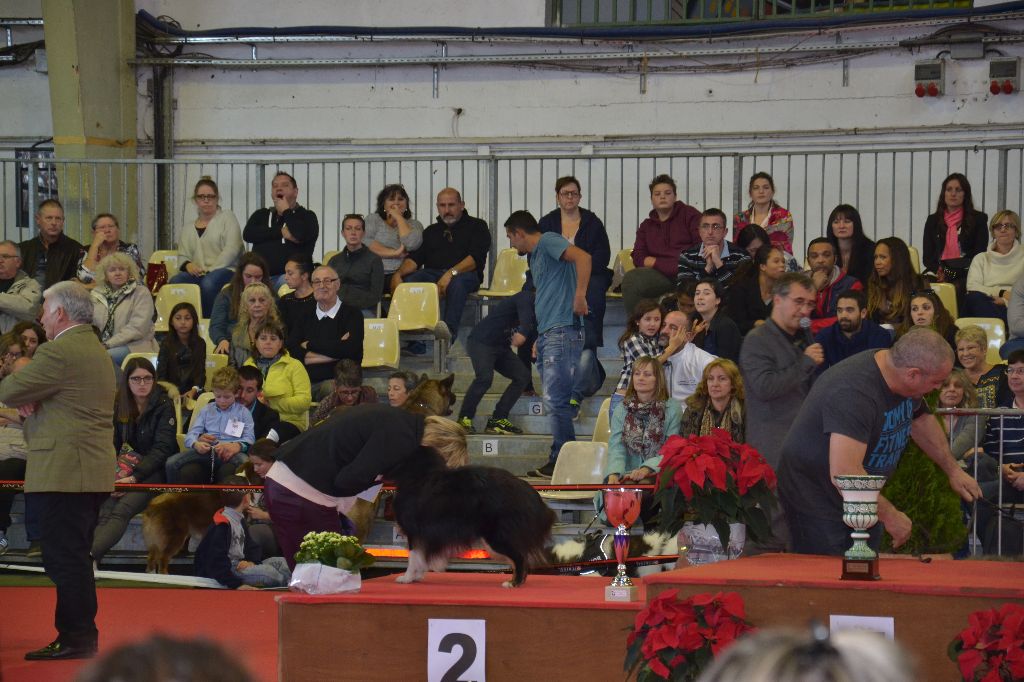 CH. Lanfranco des Bordes Rouges